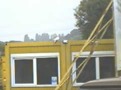 24.07 Eine weie Taube auf dem Containerdach!